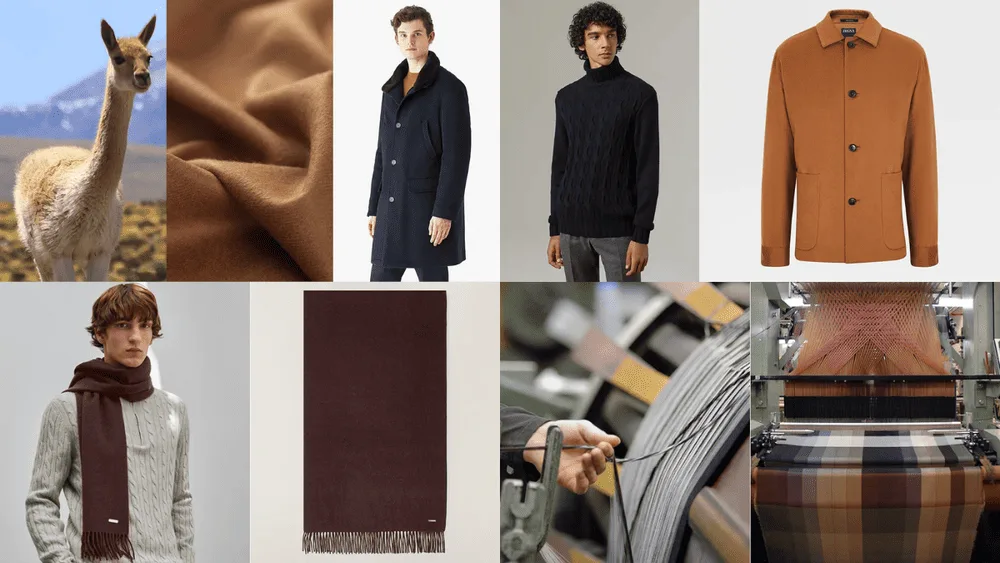 Vicuña - The most expensive natural fiber in the world